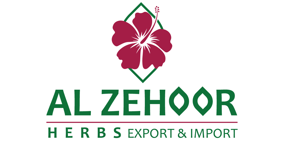 cropped-logo-png.png